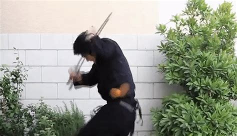 funny ninja gif|ninja wallpaper gif.